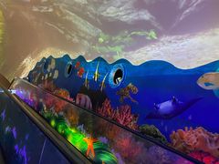 -成都浩海立方海洋公园