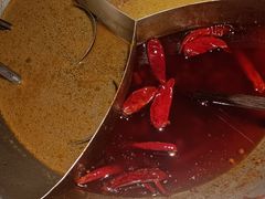 -辣伍鲜毛肚老火锅(元一店)