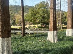 -浙江大学(玉泉校区)