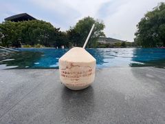 -上海佘山茂御臻品之选酒店(原佘山艾美酒店)
