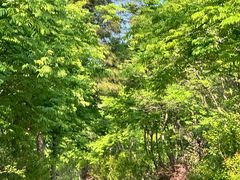 -南京金牛湖风景区