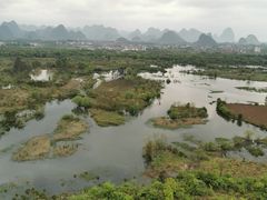 -会仙湿地