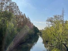 -上海长兴岛郊野公园