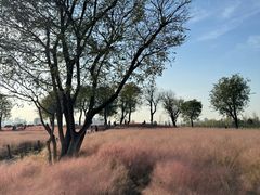 -汉长安城未央宫国家考古遗址公园