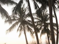 -金鸡岭桥头公园