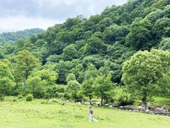 -大水川景区