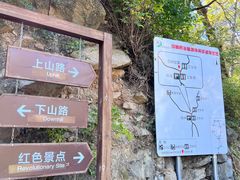 -大岭沟猕猴桃谷风景区