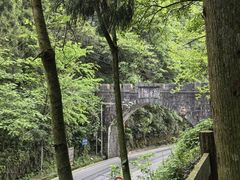 -娄山关景区