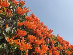 -中国移动南方基地