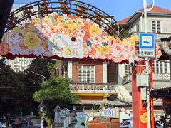 -溪岸路花鸟市场