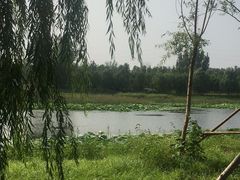 -东郊湿地公园