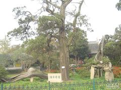-司徒庙