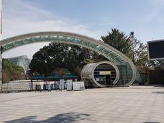 -南山植物园