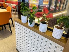 -香港新记茶餐厅(春熙太古里店)