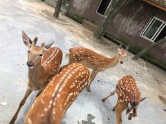 -宁波野生动物园