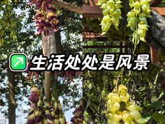 -天鹿湖森林公园