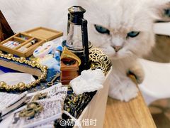 -朝画惜时·陶艺·拼豆·团建