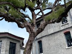 -江心屿景区
