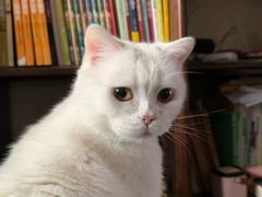 -米字格米粉(大寨沟店)