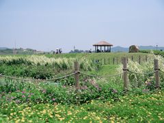 -光明小镇欢乐田园
