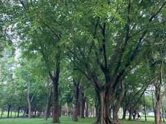 -深圳湾公园(南山区)