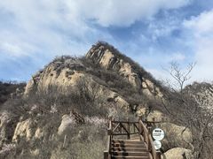 -大岭沟猕猴桃谷风景区