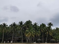 -东郊椰林