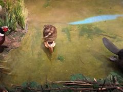 -陕西自然博物馆