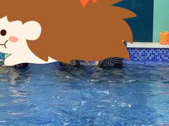 -Swim斯卫姆国际儿童游泳中心(红博中央公园店)