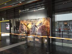 -北京英嘉国际影城(金源CINITY店)