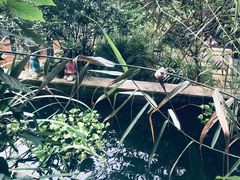 -谷咖啡·鲜花绿植花园餐厅