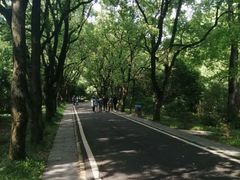 -东湖落雁景区