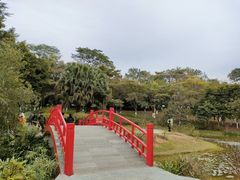 -东莞植物园