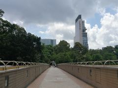 -香港皇家太平洋酒店