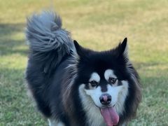 -渭河城市绿地运动公园