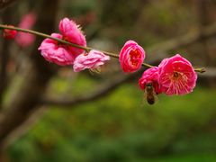 -静安雕塑公园