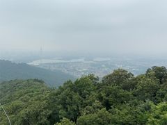 -紫金山山顶公园