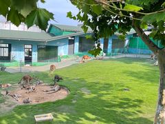 -西霞口神雕山野生动物世界