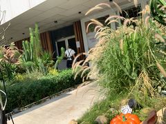 -ommo cafe(半岛城邦店)