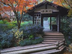 -中国茶叶博物馆(双峰馆区)
