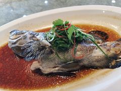 -欢乐海岸美食联盟