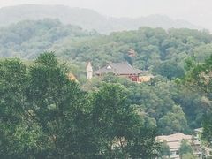 -金鸡山公园
