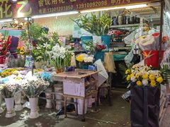 -花鸟鱼虫鲜花绿植市场(玉泉路店)