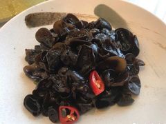 养生小木耳-骏莱海鲜鱼港(五角场店)