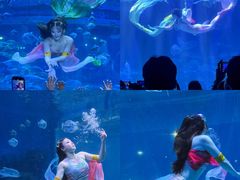 -华夏文旅海洋公园