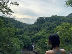 -广州白江湖森林公园