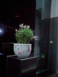 -Oasis Beauty水磨坊科技美肤中心