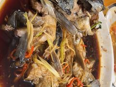 -煲来饱去冷水鱼