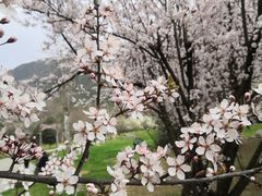 -贵阳市花溪国家城市湿地公园