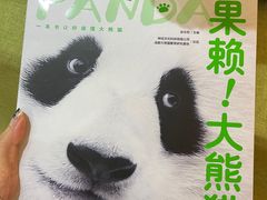 -轩客会(熊猫书店)